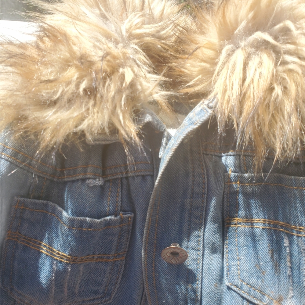 Jean jacket with woolen sleeves & fur neckline